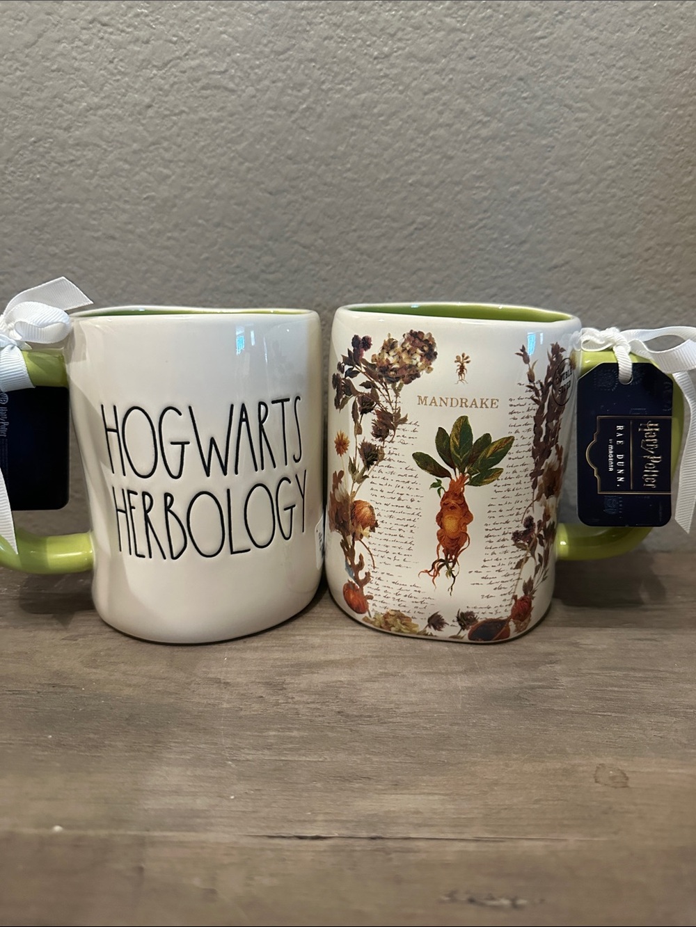 Rae Dunn/Harry Potter Hogwarts Herbology Mug